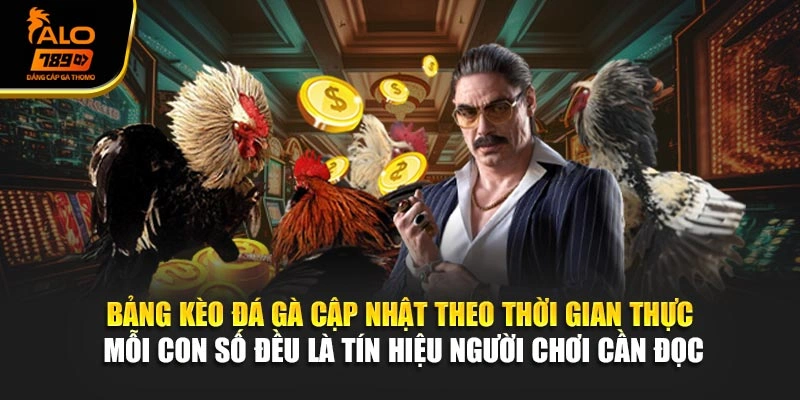 Bảng kèo đá gà cập nhật theo thời gian thực — mỗi con số đều là tín hiệu người chơi cần đọc