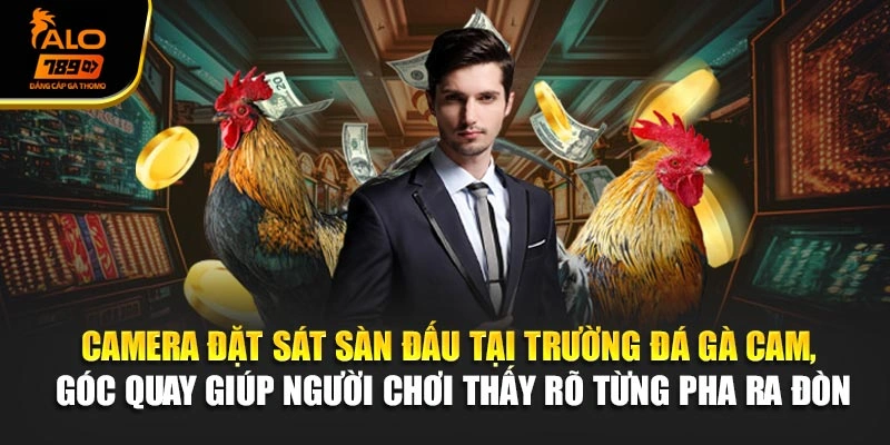 Camera đặt sát sàn đấu tại trường đá gà Cam, góc quay giúp người chơi thấy rõ từng pha ra đòn