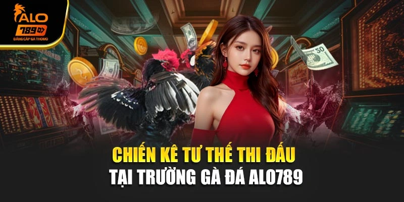 Chiến kê tư thế thi đấu tại trường gà đá Alo789