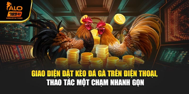 Giao diện đặt kèo đá gà trên điện thoại, thao tác một chạm nhanh gọn