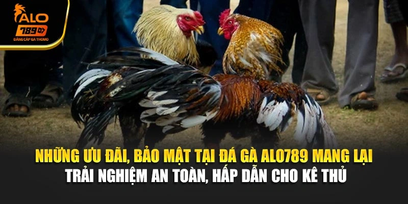 Những ưu đãi, bảo mật tại đá gà Alo789 mang lại trải nghiệm an toàn, hấp dẫn cho kê thủ