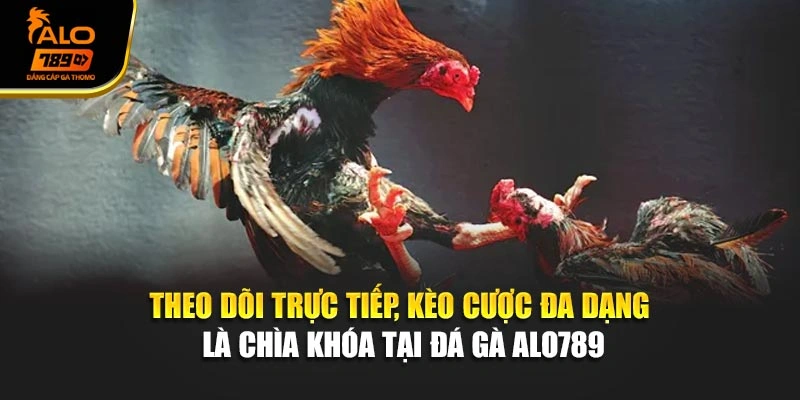 Theo dõi trực tiếp, kèo cược đa dạng là chìa khóa tại đá gà Alo789
