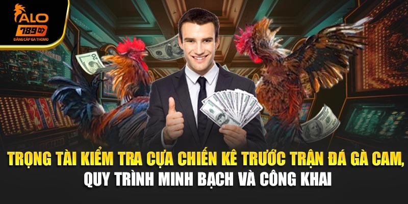 Trọng tài kiểm tra cựa chiến kê trước trận đá gà Cam, quy trình minh bạch và công khai
