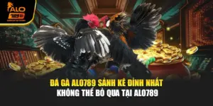Đá Gà Alo789 – Sảnh Kê Đỉnh Nhất Không Thể Bỏ Qua Tại Alo789