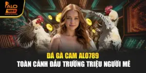 Đá Gà Cam Alo789 – Toàn Cảnh Đấu Trường Triệu Người Mê