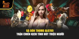 Gà Đòn Thomo Alo789 – Trận Chiến Kịch Tính Hút Triệu Người